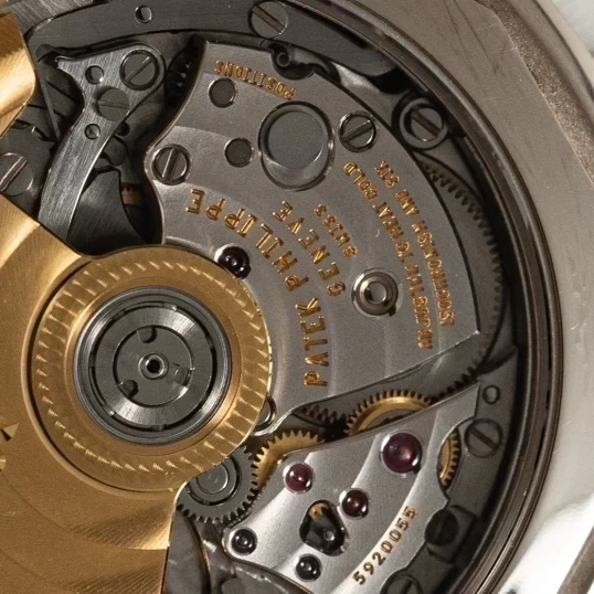 Patek Philippe Complications 5930g-010